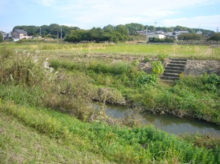 小川の風景.JPG