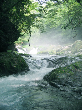 菊池渓谷2