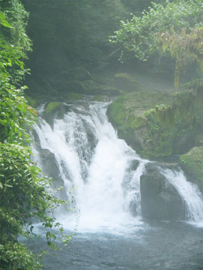 菊池渓谷1