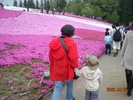 2008.4.26秩父芝桜 022.JPG