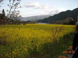 2008.5.3~5.5猿ヶ京旅行 052.JPG