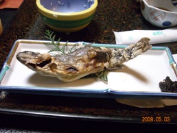 2008.5.3~5.5猿ヶ京旅行 066.JPG