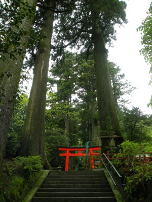 箱根神社１．５.jpg