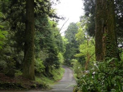 箱根神社３．５.jpg