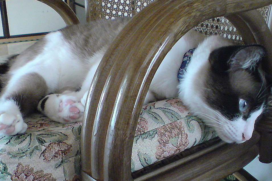 DSC00168.JPG