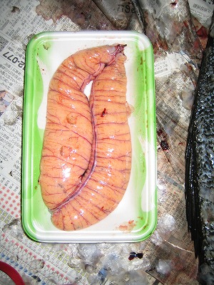 魚卵.jpg