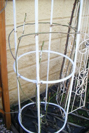 オノリーヌドブラバン