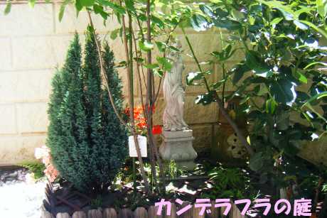 シルバースター