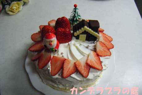 クリスマスケーキ