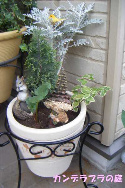 寄せ植え