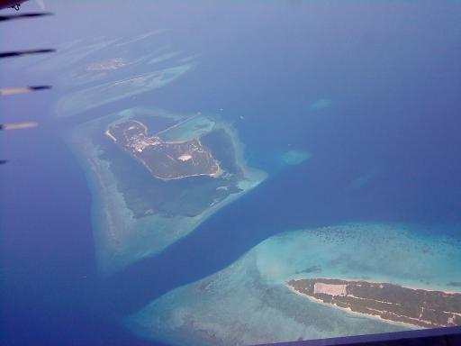 DSC00835.JPG