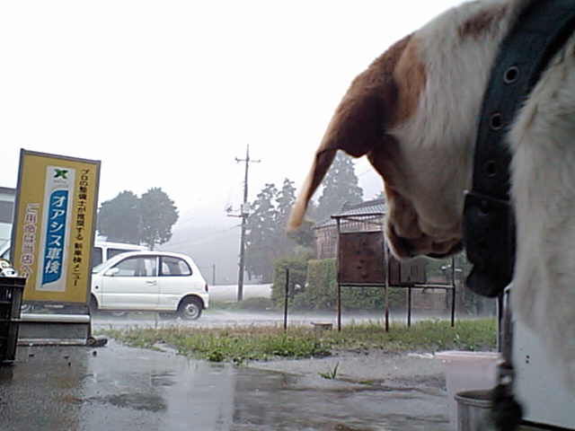 大雨