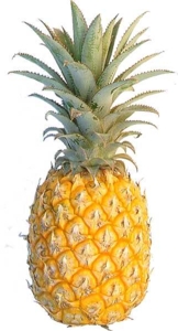 pineapple_162x300.jpg