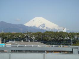 DSC09395_267x200.JPG