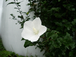 P1010652(1).JPG