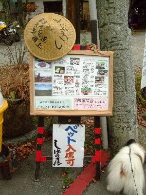 ２０１１軽井沢１０.JPG