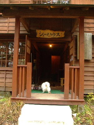 ２０１１軽井沢２４.JPG