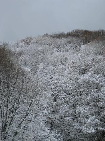１１月３日　初雪　清見～荘川　
