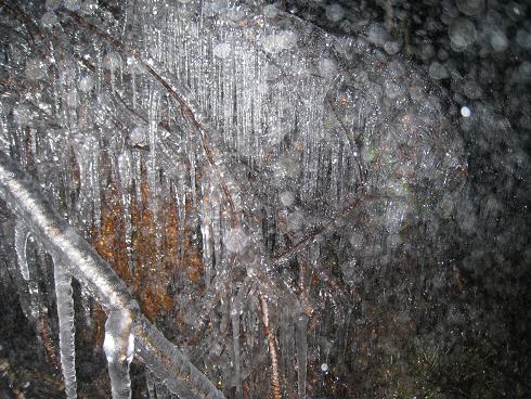 秋神温泉氷点下の森　氷作り 深夜 2