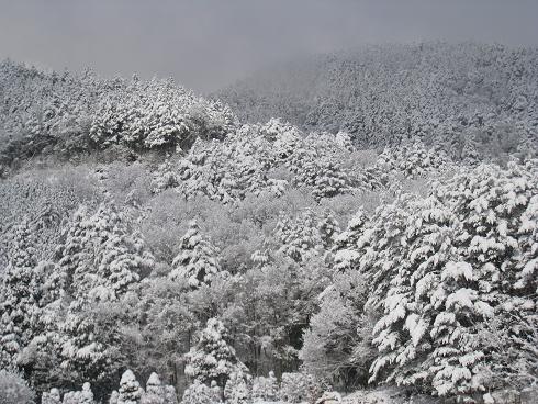 宮村の奥山の雪景色