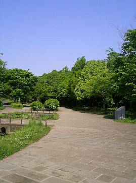 公園_53