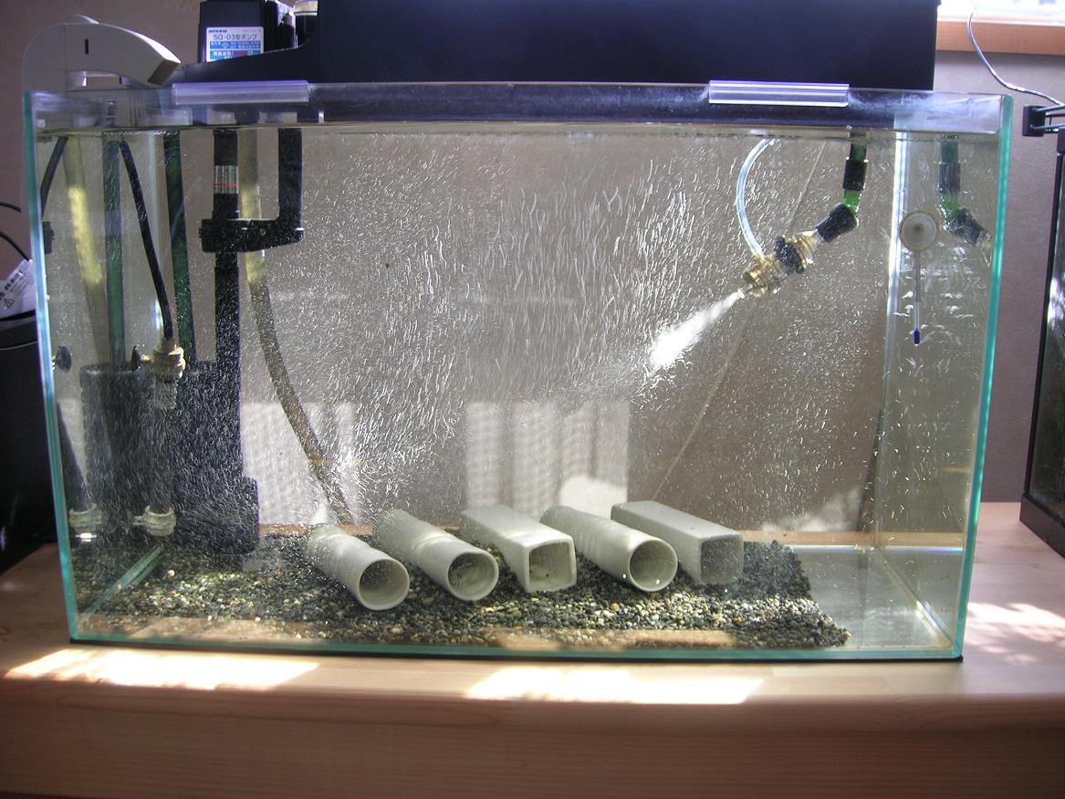 60cmガラス水槽➕海水魚用上部濾過器 - 魚用品/水草