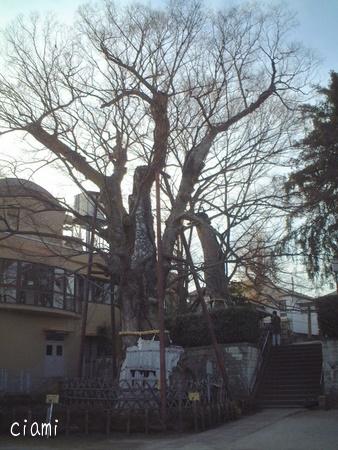 白山神社3