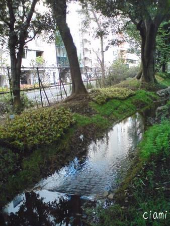 遊歩道 10