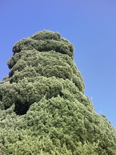 いつもあなたが