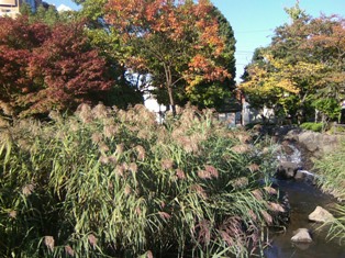 東京じゃないと思う