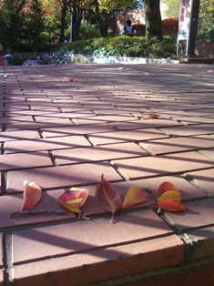 love愛は世界を救う