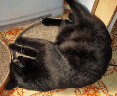 はみ出しながらもぐりぐり