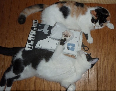 でっかくなった