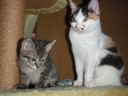 凛々しく生きるんよ