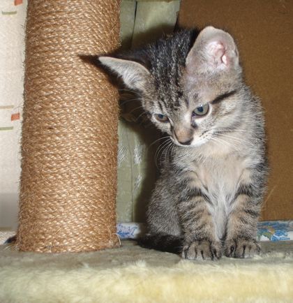 さよならなんよ