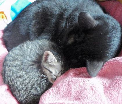 さよならのご挨拶