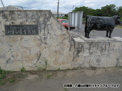 セリ市場