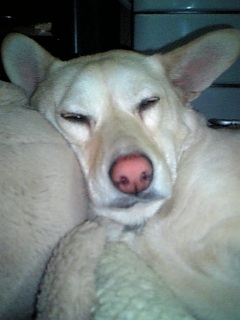 一応女の子ですよ