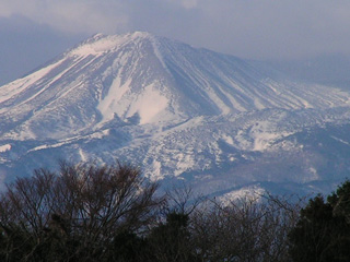手前の木々が余り黒っぽくならなかったのでアップ♪