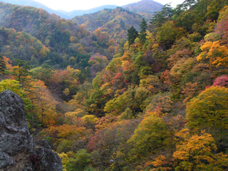 秋色に染まる茂庭の山々
