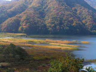 高森山を背景に秋元湖の草紅葉を撮ってみた。