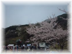 hanami2