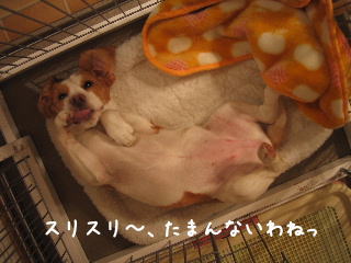 20080225_4.JPG