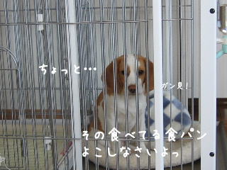 20080225_2.JPG