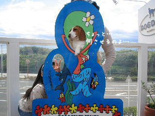 20080421_1.JPG