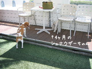 20080421_3.JPG