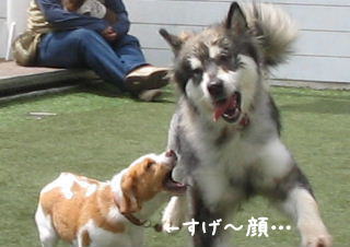 20080421_5.JPG