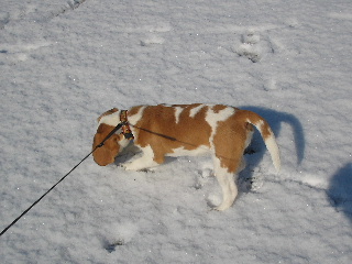 20080207_2.JPG