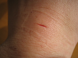 20080207_3.JPG