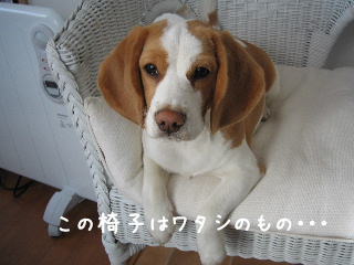 20080225_3.JPG